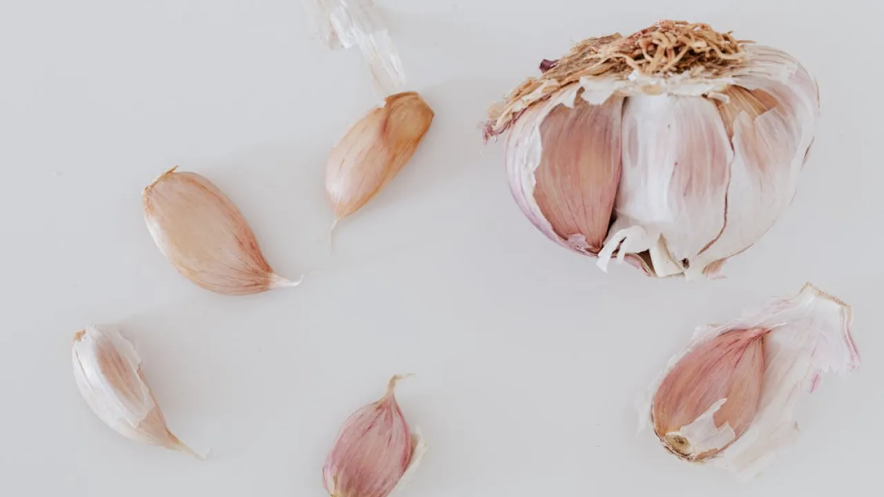 Коли та як висаджувати часник: поради від досвідчених агрономів 