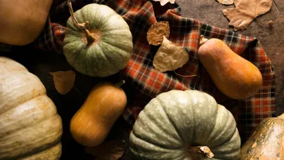 Осінь і гарбузи: як визначити ідеальний момент для збору врожаю - фото