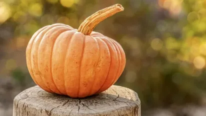 Натяк на похолодання: синоптикиня розказала, що буде з погодою в Україні 23 вересня - фото