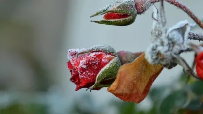 З 24 вересня в Україні різко похолоднішає, будуть заморозки, - синоптикиня Діденко - фото