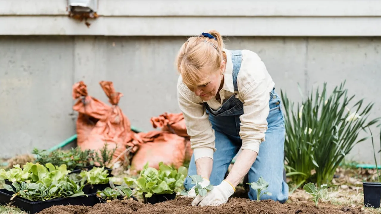 Як правильно оформити купівлю-продаж землі: що підготувати перед візитом до нотаріуса 