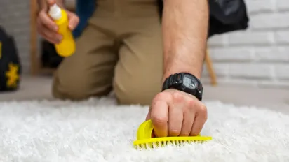 Забудьте про дорогі засоби: як піна для гоління рятує килим від будь-яких плям - фото