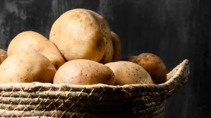 Чому картопля не долежує до весни: найнебезпечніші помилки при зберіганні - фото