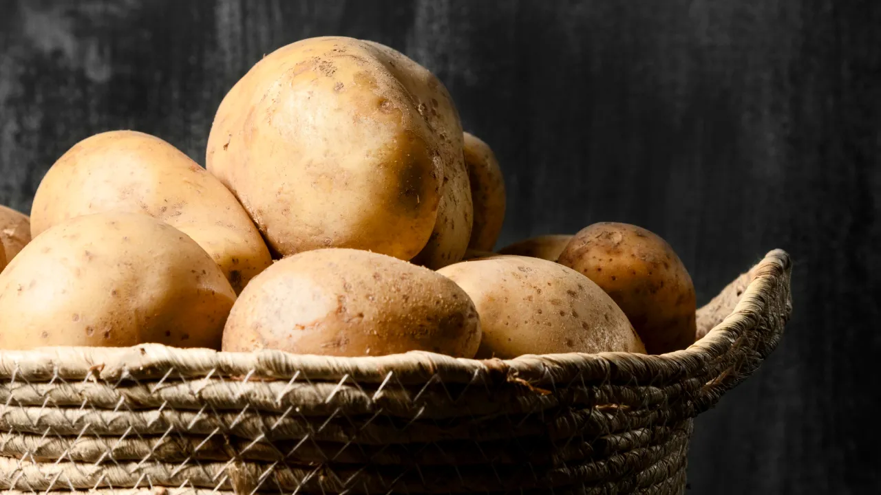 Чому картопля не долежує до весни: найнебезпечніші помилки при зберіганні 