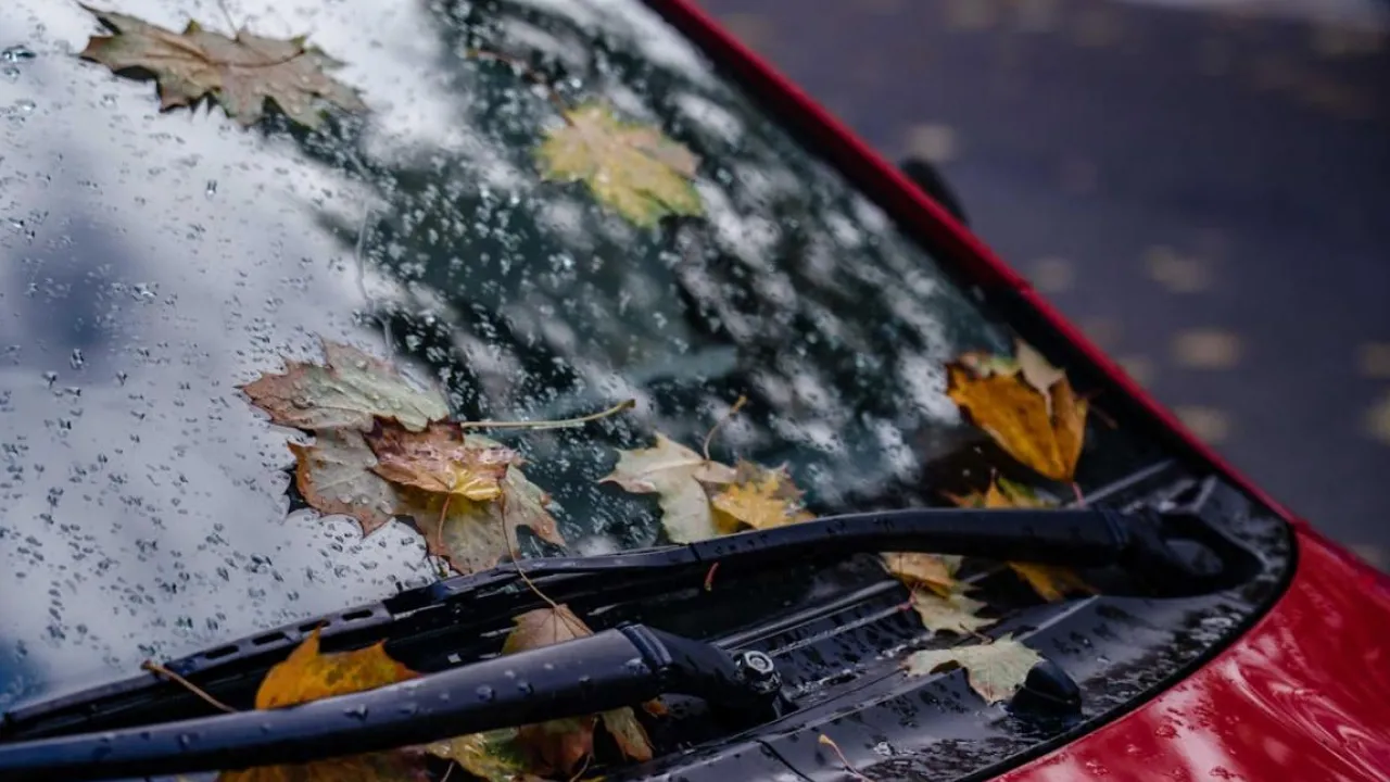 Синоптикиня попередила про різке похолодання та дощі 25 вересня: де зіпсується погода 