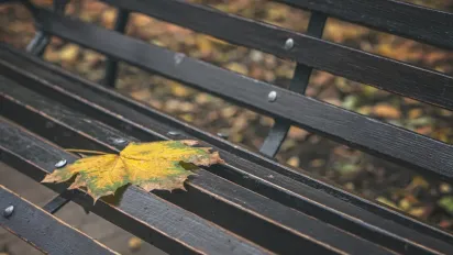 Синоптики повідомили, яка погода чекає на українців у жовтні - фото