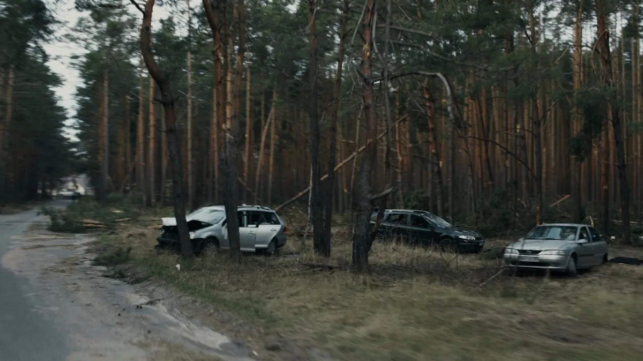 Що робити у разі ДТП: покроковий алгоритм дій для водіїв 