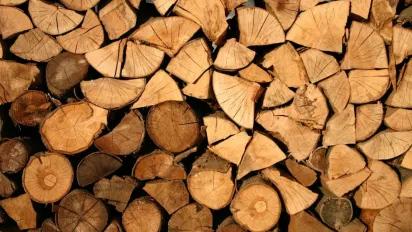 Які дрова найкраще гріють дім: поради фахівця - фото