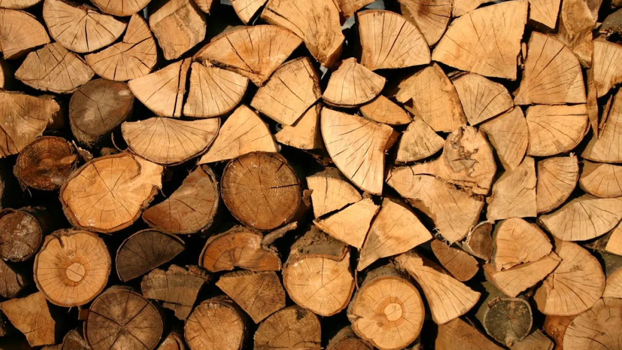 Які дрова найкраще гріють дім: поради фахівця 