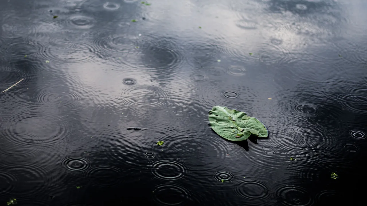 25 вересня всю Україну накриє похолодання: прогноз погоди по регіонах 