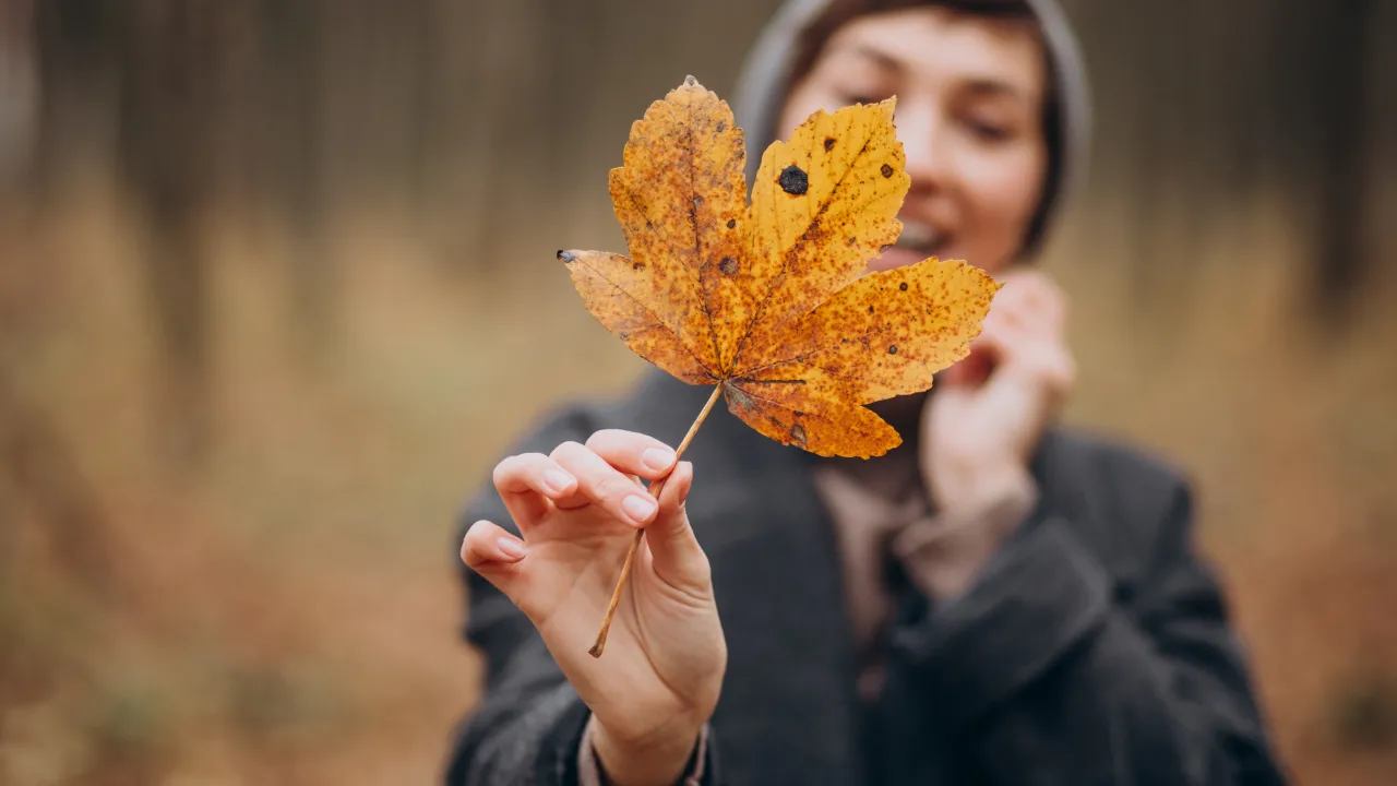Яка погода чекає на українців у жовтні: прогноз Укргідрометцентру 