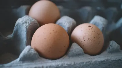 Європейці звинуватили українські яйця у залишках антибіотиків: як відповіли в Україні - фото