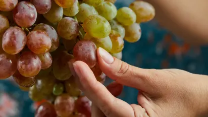 Збережіть виноград на зиму: найефективніші способи укриття - фото