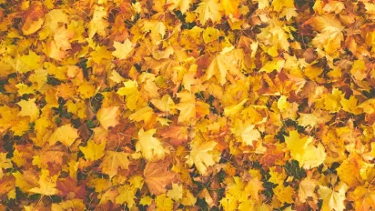 Куди потрібно покласти гроші 27 вересня, щоб вони примножувалися: народні прикмети - фото