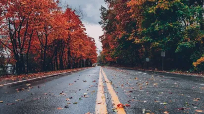 Що не можна підбирати із землі 29 вересня, аби не накликати бідність: народні прикмети - фото