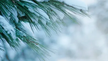 Коли прийде справжня зима та якою вона буде: останні спостереження синоптика - фото