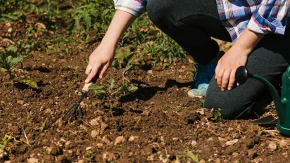 Місячний посівний календар на жовтень 2025: дні для посадки та підзимових робіт - фото