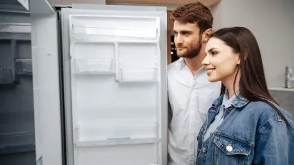 Як лавровий лист допомагає освіжити холодильник і захистити від шкідників - фото