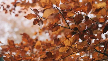 Чому 30 вересня не можна ходити в гості: народні прикмети - фото