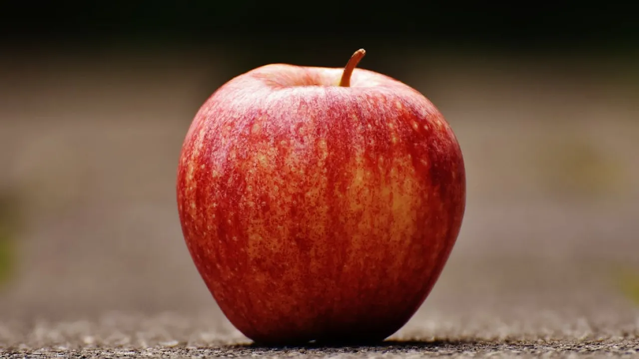 Як дізнатися, що яблука час збирати: 3 ключові сигнали від садівників 