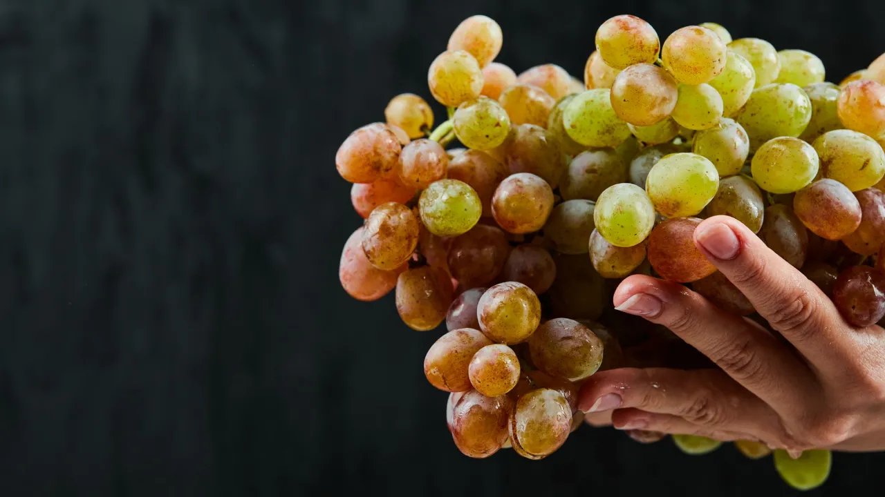 Виноград і здоров’я: чим він корисний для серця, травлення і мозку 