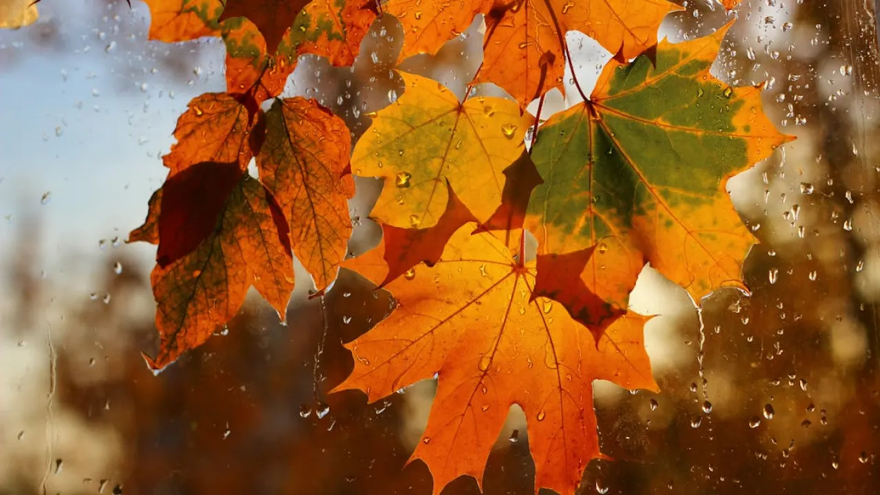 Жовтень в Україні розпочнеться з дуже холодної погоди, - синоптикиня Діденко 