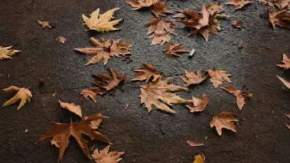 На українців чекає незатишна осіння погода: синоптики засмутили прогнозом - фото