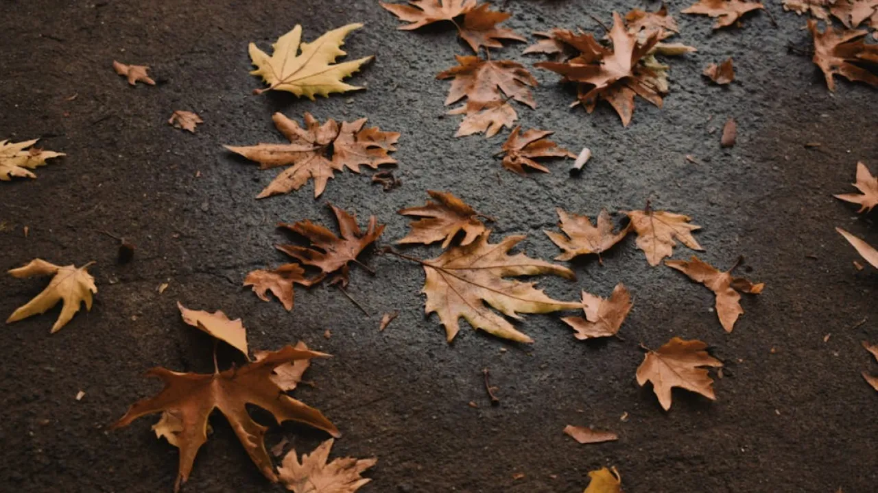 На українців чекає незатишна осіння погода: синоптики засмутили прогнозом 