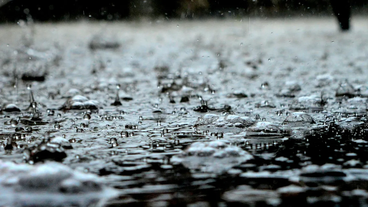 Водіння авто в дощ: одна звичка може коштувати вам контролю над авто 