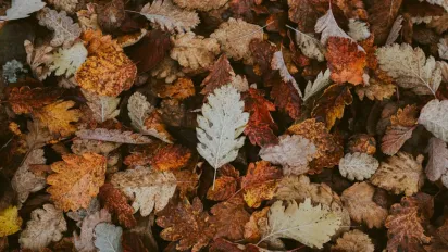 1 жовтня в Україну увірветься вогка осінь: температура впаде нижче +10° - фото