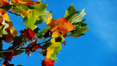 Ледь не літо: синоптикиня повідомила, де завтра в Україні розігріє до +18° - фото