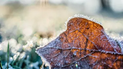 Україну накриває нова хвиля заморозків: де буде "мінус" (карта) - фото