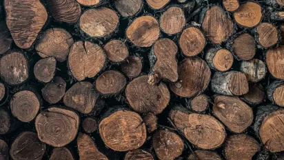 Що не можна підбирати із землі 2 жовтня, аби не накликати лихо: народні прикмети - фото