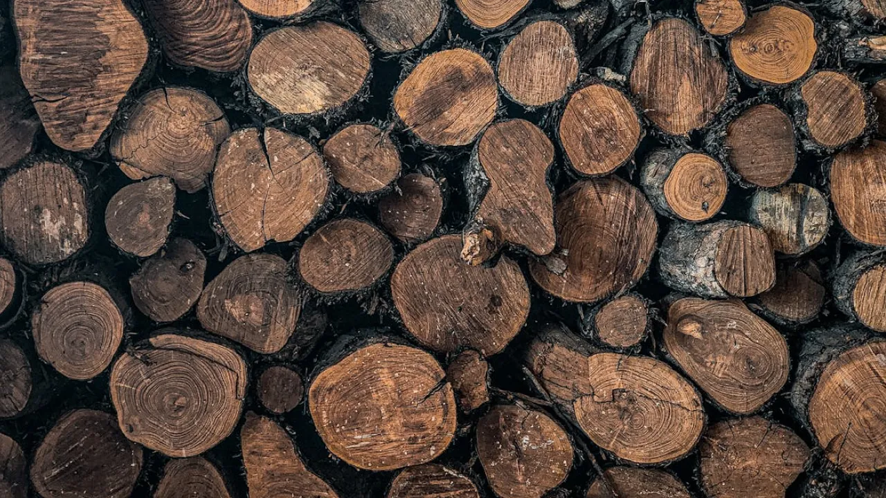 Що не можна підбирати із землі 2 жовтня, аби не накликати лихо: народні прикмети 