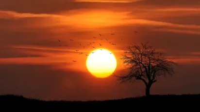 2 жовтня Землю продовжить штормити: прогноз магнітних бур (графік) - фото