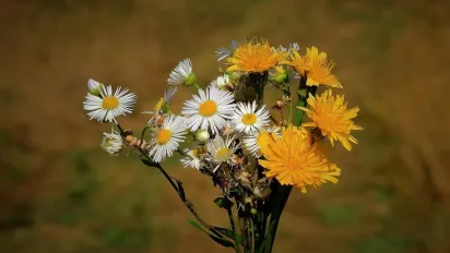 Синоптикиня назвала точні дати, коли в Україну прийде потепління  - фото
