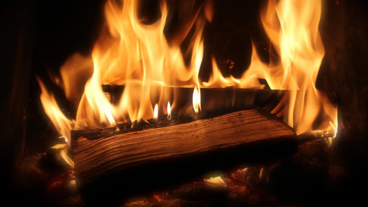 Де купити дрова й отримати допомогу: інструкція перед опалювальним сезоном 