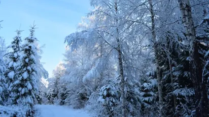 Синоптик розказав, якою буде прийдешня зима в Україні - фото