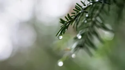 Синоптикиня назвала області, де на вихідних буде найхолодніше - фото