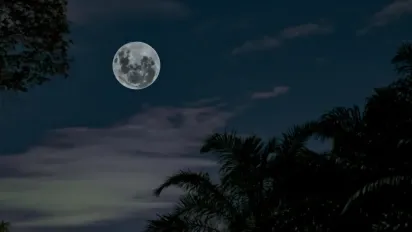 Гороскоп на 4 жовтня 2025 року для всіх знаків Зодіаку - фото