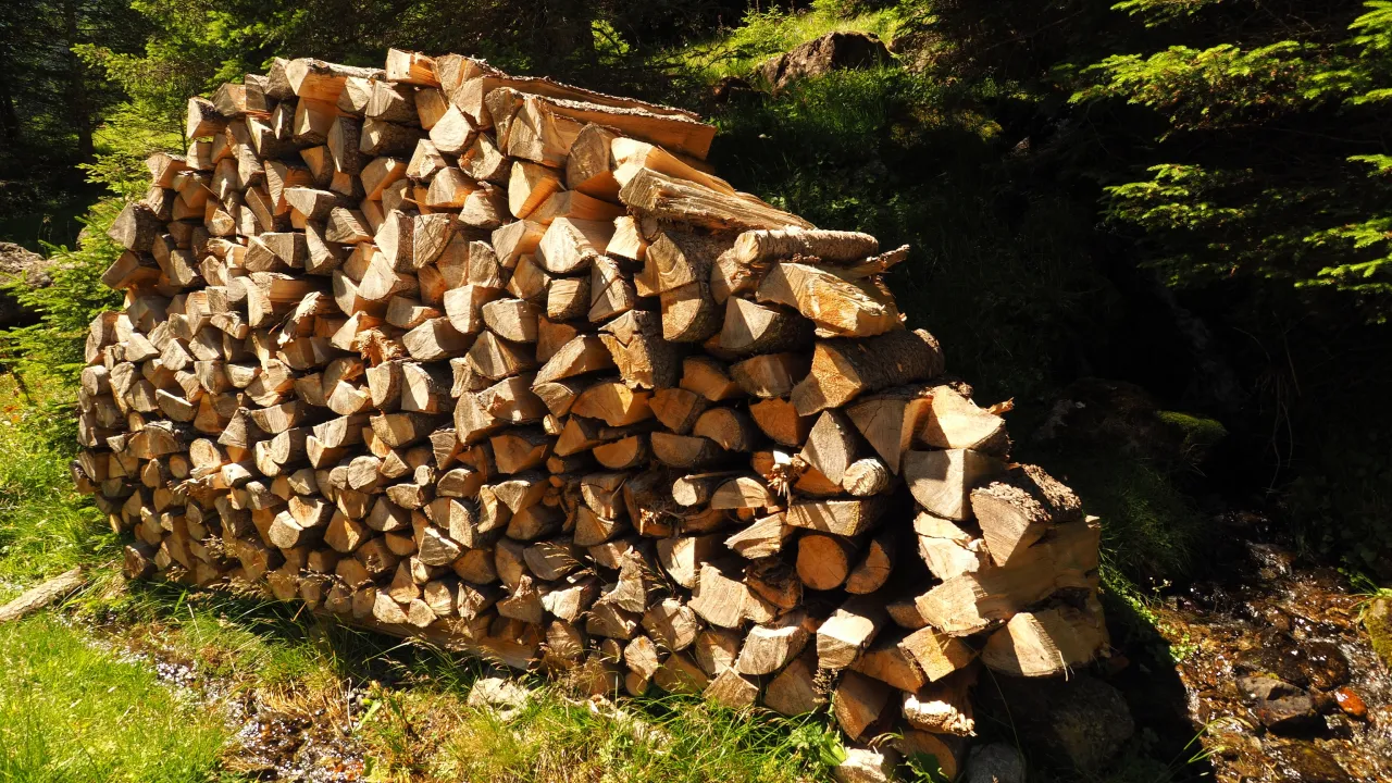 Гроші на дрова: хто має право отримати 8 тисяч гривень 