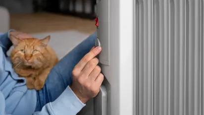 Субсидії на опалювальний сезон-2025 розширили: хто в списку першочергових та як подати заявку - фото