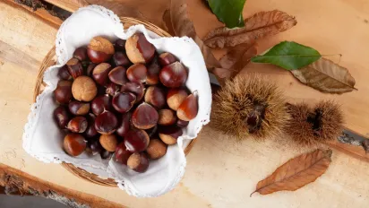 Екотренд із Німеччини: прання без хімії за допомогою звичайних каштанів - фото