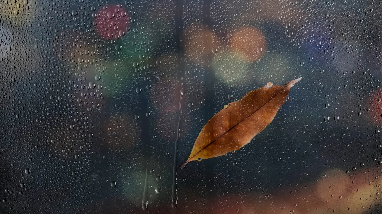 Україну накриє волога погода: де у неділю йтиме дощ і мокрий сніг 