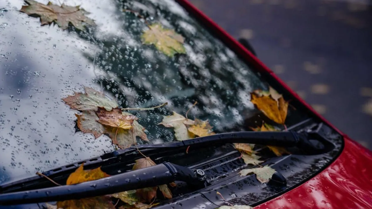 Частину України сьогодні накриють дощі: синоптикиня поділилася прогнозом 