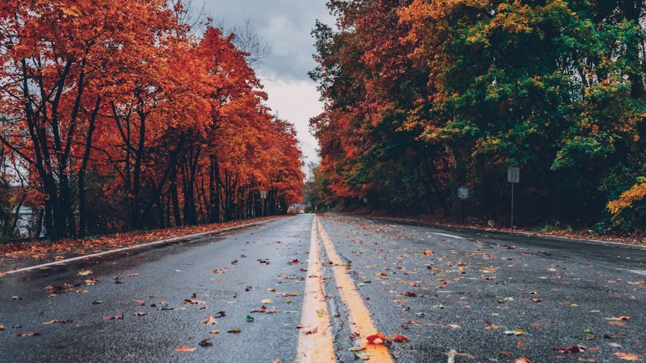7 жовтня — День святого Сергія Зимового: прикмети, звичаї та заборони 