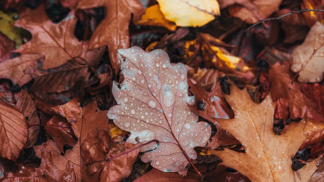 Україну накрив потужний циклон: якою буде погода 