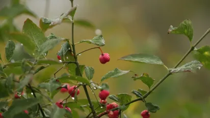8 жовтня в Україні очікуються сильні дощі: синоптик розповіла, де буде найбільш мокро - фото