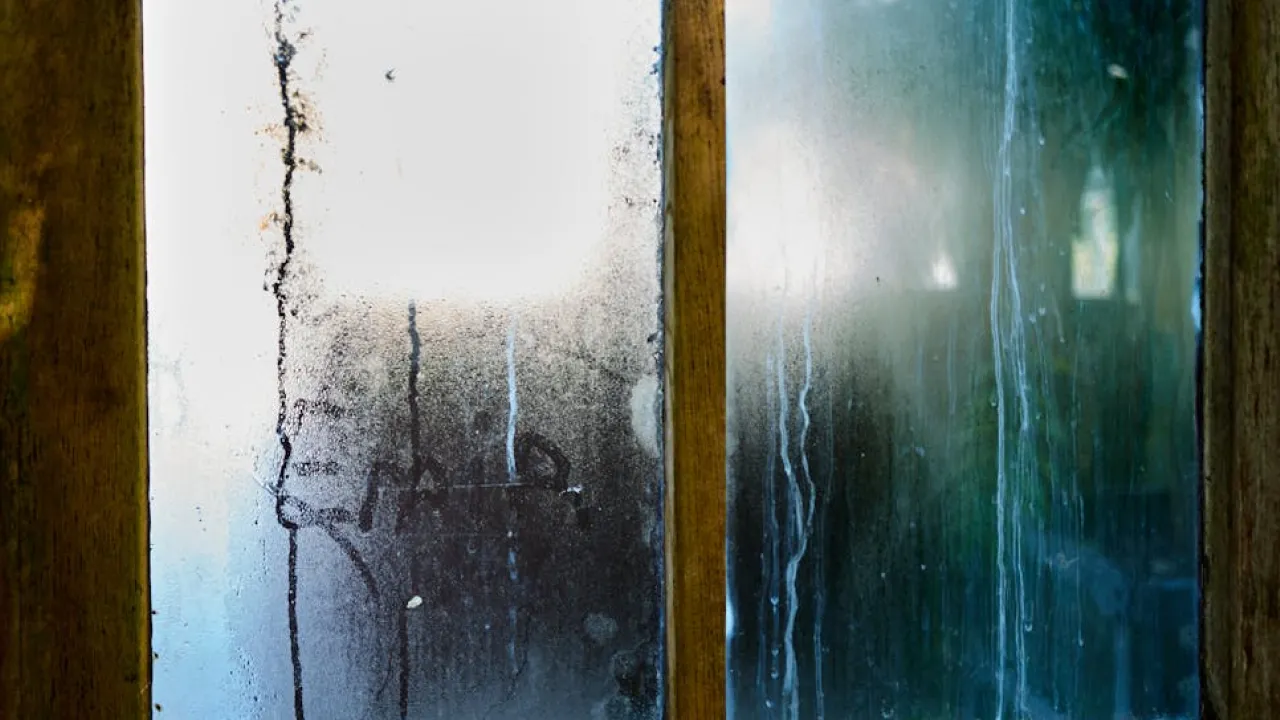 Як уникнути конденсату на вікнах: коли й як правильно провітрювати 