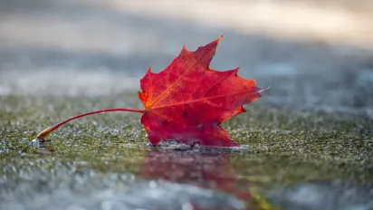 Україну чекає ще одна хвиля дощів: прогноз погоди на 10 жовтня - фото
